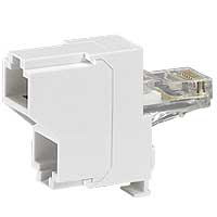 Legrand - Ontdubbelaar RJ 45 contactdoos 2 Ethernet 100 base T - 032748-E⚡shock